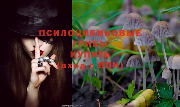 СК Тавда
