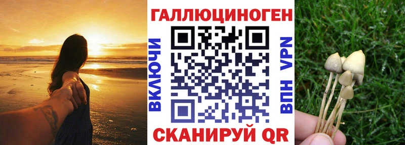 Галлюциногенные грибы GOLDEN TEACHER Лагань