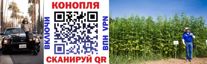 Шишки марихуана гибрид Лагань